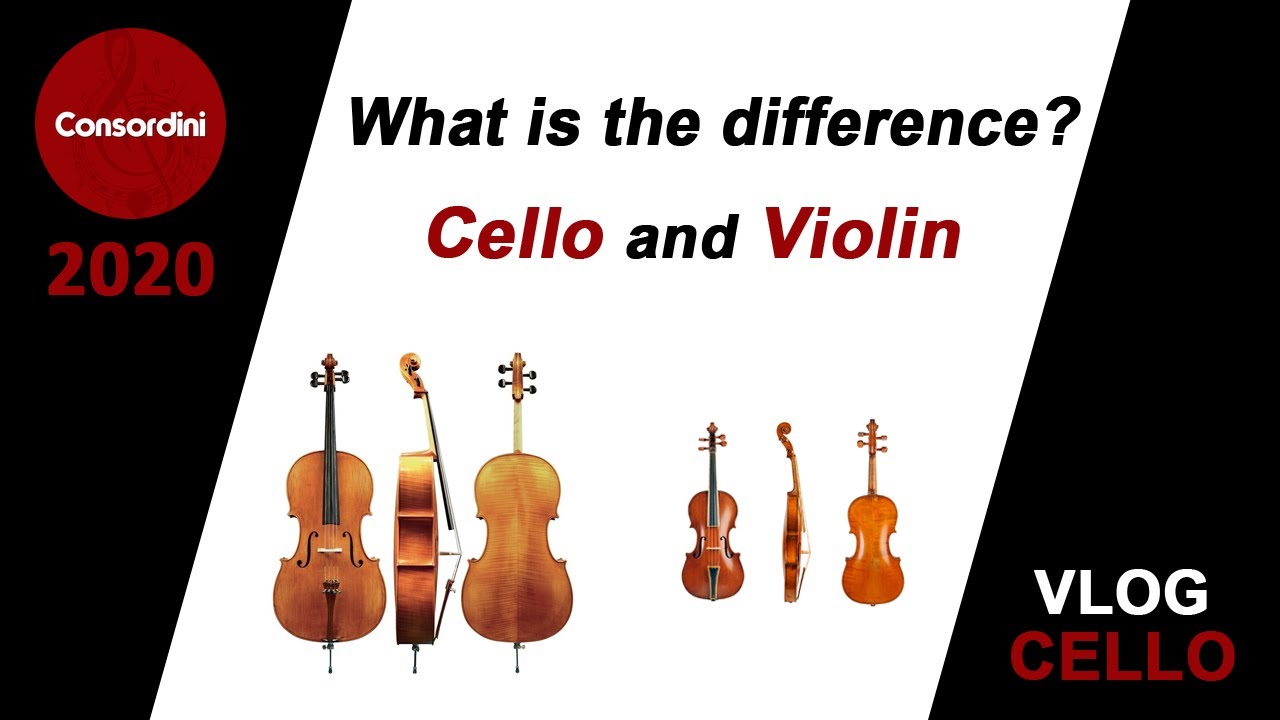 torre Resaltar sucesor What is the Difference Between a Cello and Violin - YouTube