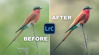 WILDLIFE Photo Editing with NEW Lightroom TRICKS screenshot 2