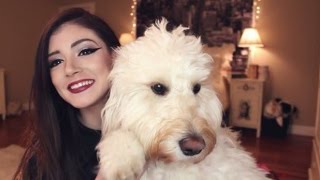 Chrissy Costanza - Sammi's Birthday