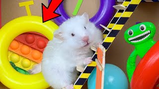 Hamster Escape Key Jumbo Josh Maze |🐹 Obstacle Course