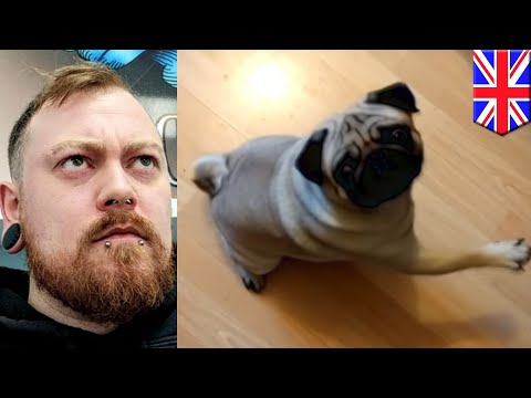 YouTuber Count Dankula fined for being 'grossly offensive' - TomoNews