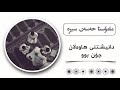 ماموستا حسن سیره ماموستا حسن سیره