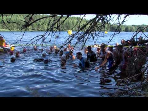 Video: Kuidas Treenida Kassipoega Ujuma