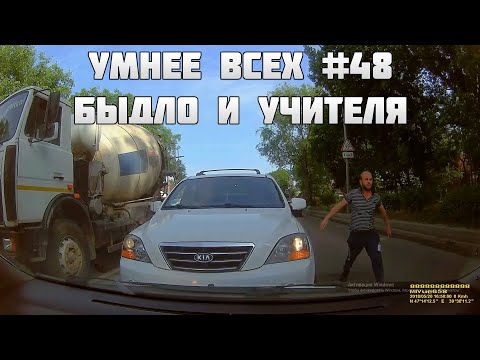 УМНЕЕ ВСЕХ #48. БЫДЛО И УЧИТЕЛЯ НА ДОРОГЕ