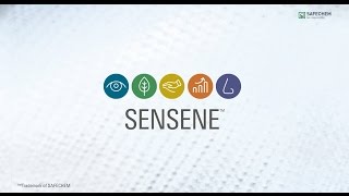 SENSENE™ - новый растворитель для химчистки на основе модифицированных спиртов
