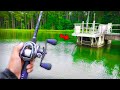 This TROPHY Lake is LOADED w/ GIANT Bass (Frog Fishing)