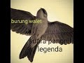 Suara Panggil Burung Walet Legenda Mp3 - Mp4 Download