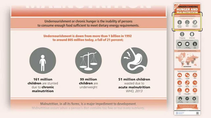 Key Fact on Hunger and Malnutrition FAO (EN)
