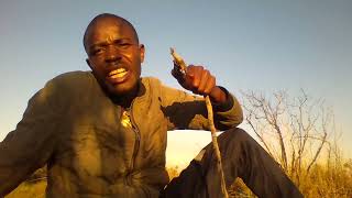 Amazulu   And  Bapedi  Kingdom
