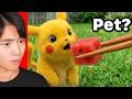 Pokemon in REAL LIFE?