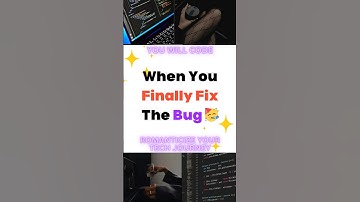 When You Finally Fix the Bug 🥳 #developer #developerlife #techjourney  #techtips #programmers
