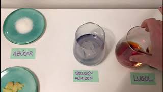 Video Practica Lugol: Aprendizage y Enseñanza de Física y Química VIU