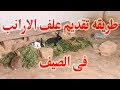 طريقه تقديم علف الارانب فى الصيف طريقه تقديم علف الارانب فى الصيف