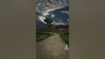#قران_كريم #راحة_نفسية #سورة #لقمان #القارئ#ياسر_الدوسري