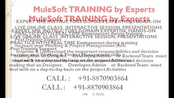 Mulesoft Online Training