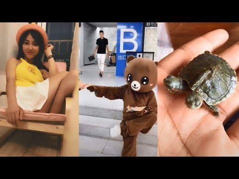 【搞笑短视频】瑞兽双头龟！速速转发求好运！笑死人不偿命系列！第二十七波！#LikeaBossCompilation2018