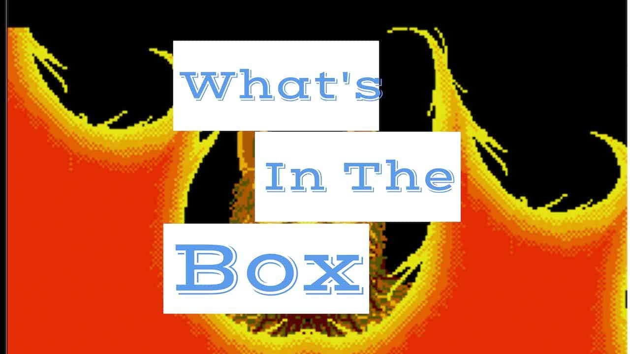 What's in the Box:  Deadly Duck and Fast Eddie