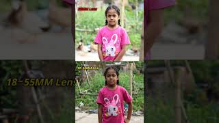 Canon 50Mm Vs 18 - 55Mm Lens Quality Testing