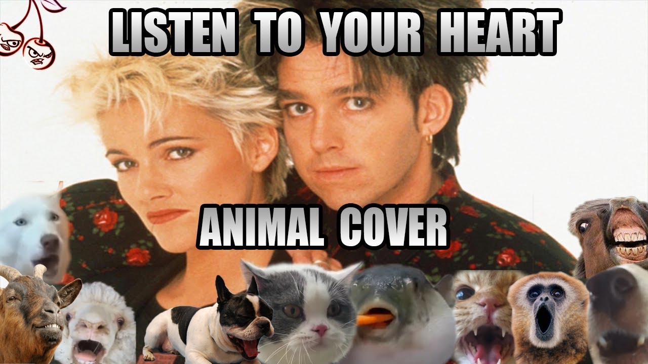 Roxette - Listen To Your Heart (Animal Cover)