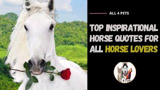 Top Inspirational Horse Quotes For All Horse Lovers