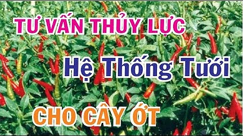 Hướng dẫn tự thiết kế hệ thống tưới cho cây ớt, cỏ vườn anh Nguyễn Ngọc Đức