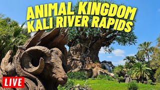 LIVE: Animal kingdom for a Kali river rapids kinda day  5/16/2024