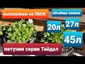 Высаживаю петунию серии Тайдал на ПМЖ в кашпо 20,27,45 литров/Грунт для тайдалов.