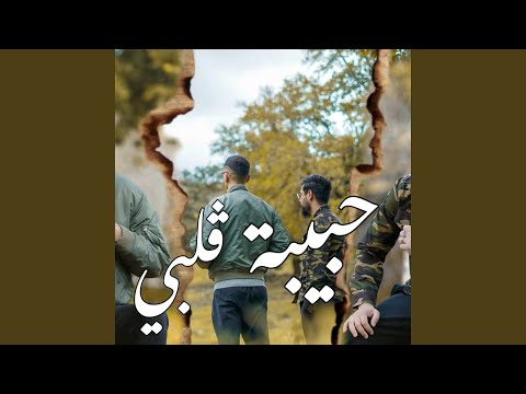 حبيبة ڨلبي  