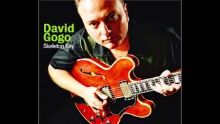 Video thumbnail of "David Gogo - I Can Still Hear You Crying"