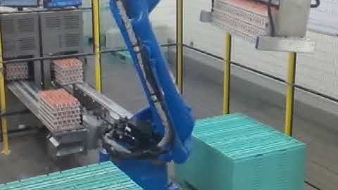Robotic Farm Egg Palletizer