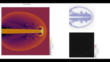 Mach 2000 astrophysical Jet with DG and subcell positivity limiters using AMR