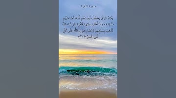 يَكَادُ الْبَرْقُ يَخْطَفُ أَبْصَرَهُمْ كُلَّمَا أَضَاءَ لَهُم مَّشَوْا فِيهِ #سورة_البقرة {20}
