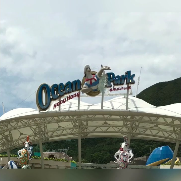Ocean Park, Hong Kong Aquarium Under a minute...#Shorts