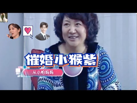 楊紫被媽媽催婚，肖站不在隱藏說出真心話，兩人這次真要官宣了？