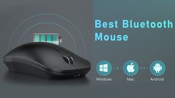 Seenda Best Bluetooth Mouse for Mac/Windows/Android | Under 30