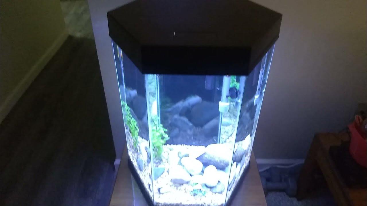 Top Fin 20 Gallon Hexagonal Aquarium - 6 beats 4 