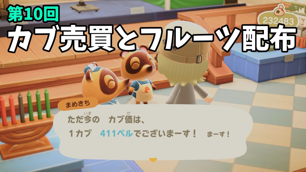 【あつ森】カブ価411ベルとフルーツ配布！初心者歓迎