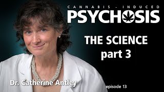 Cannabis Induced Psychosis - The Science, part 3 - High THC Dangers