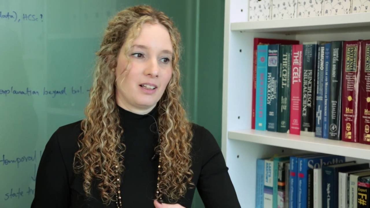 BMA: Bio Model Analyzer