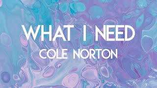 Cole Norton - What I Need (Lyric Video)