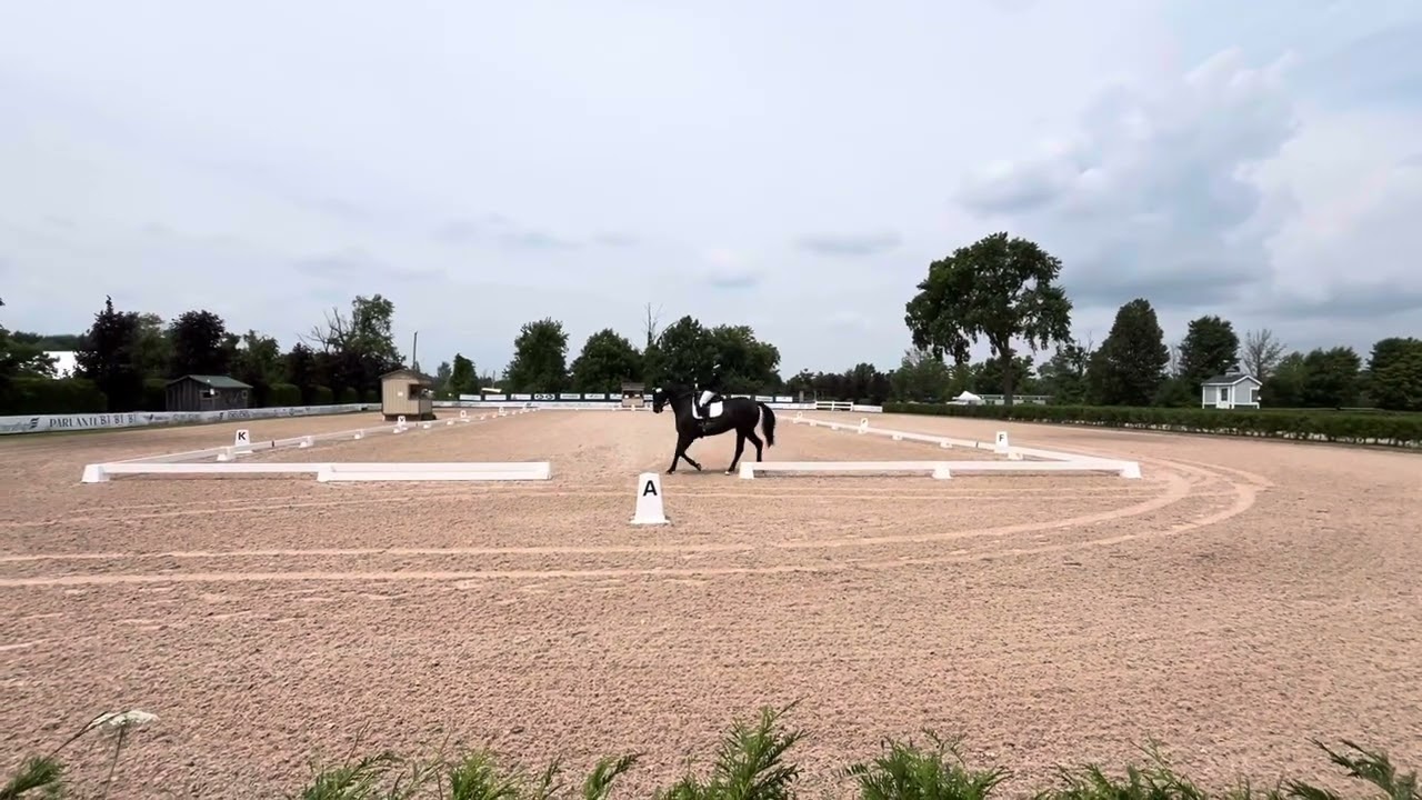Angelstone Caledon Dressage Friday August 8 2025