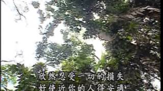 讓我愛（補428）