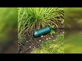 Rezension: 2er Pack, Schutzbox XXL IP44, Trittfest, Wasserfest, Kabel, Stecker