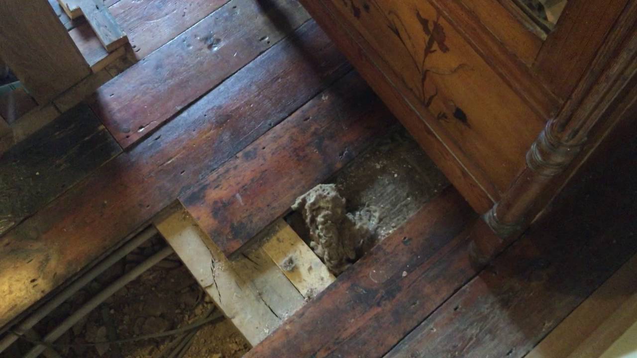 Cable Tongue Pulling Cables Under A Floor Youtube Cable Tongue Pulling Cables Under A Floor Youtube