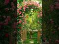 Natural green flower scene 🌿🌺#flowers #shorts #beauty #wow 🌹