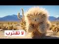 إذا رأيت دمية دب في الصحراء اهرب منها