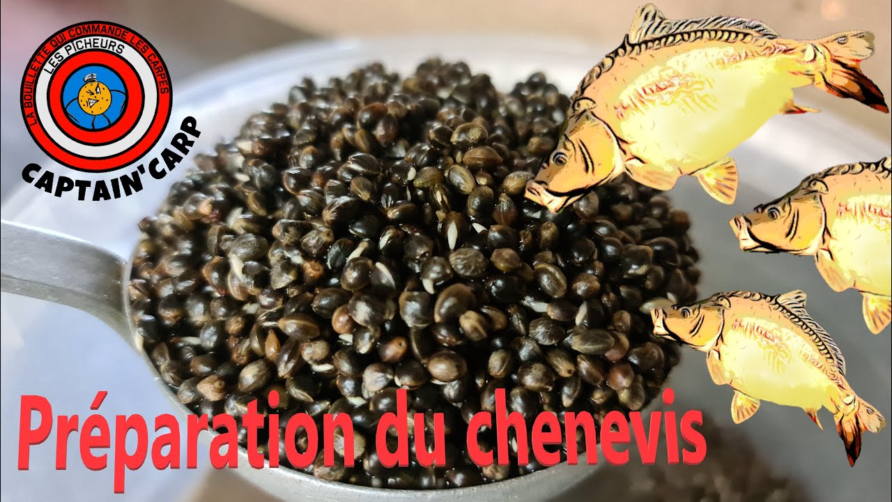 Chènevis Cuit Nature 1/2L - SENSAS