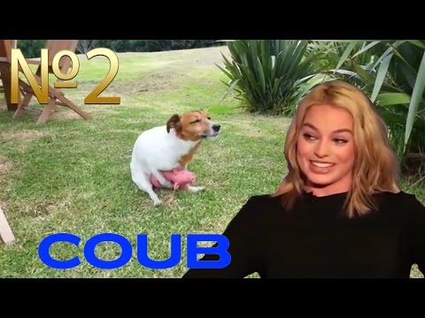 BEST COUB \ Пошлые \ Эротические \ ЛУЧШИЕ ПРИКОЛЫ \ 18+ \ №2