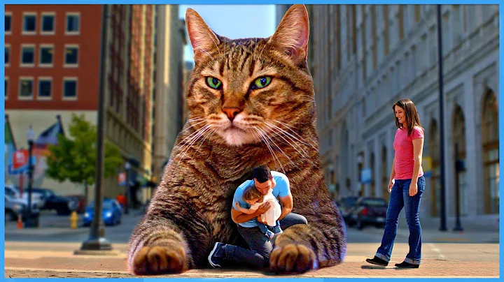 The BIG Mean Kitty Song - Official Music Video [KI...