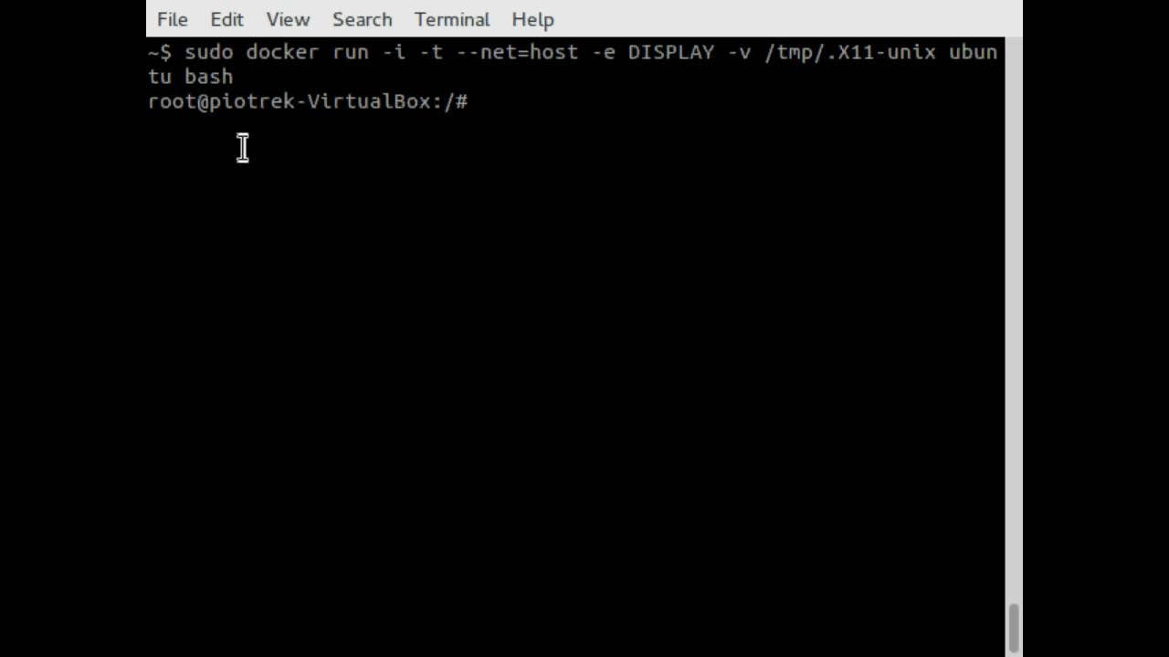 Docker run in bash. Docker run in bash
